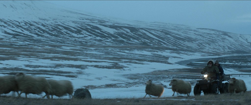 Δεσμοί Αίματος (Rams / Hrútar) (2015)