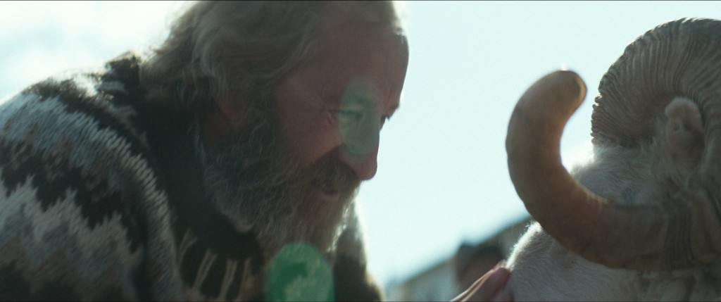 Δεσμοί Αίματος (Rams / Hrútar) (2015)