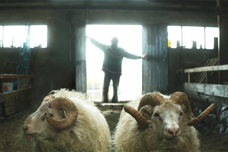 Δεσμοί Αίματος (Rams / Hrútar) (2015)