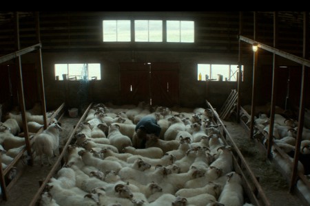 Δεσμοί Αίματος (Rams / Hrútar) (2015)
