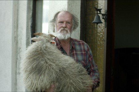 Δεσμοί Αίματος (Rams / Hrútar) (2015)