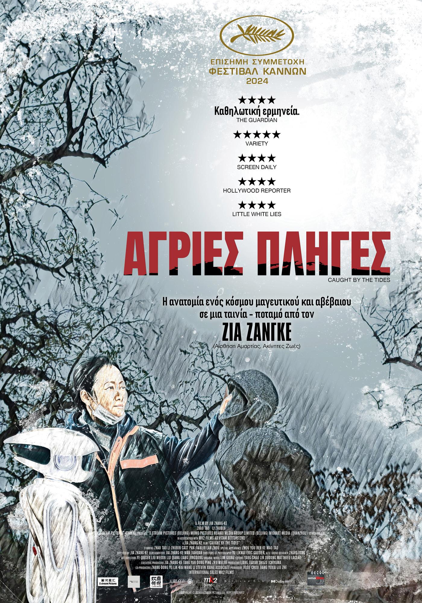 Άγριες Πληγές (Feng liu yi dai / Caught by the tides) (2024)